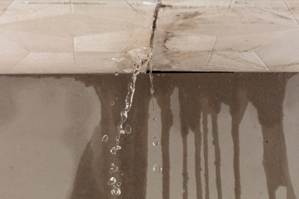 Professional Sewage Cleanup technician working in Palm Beach Gardens, FL